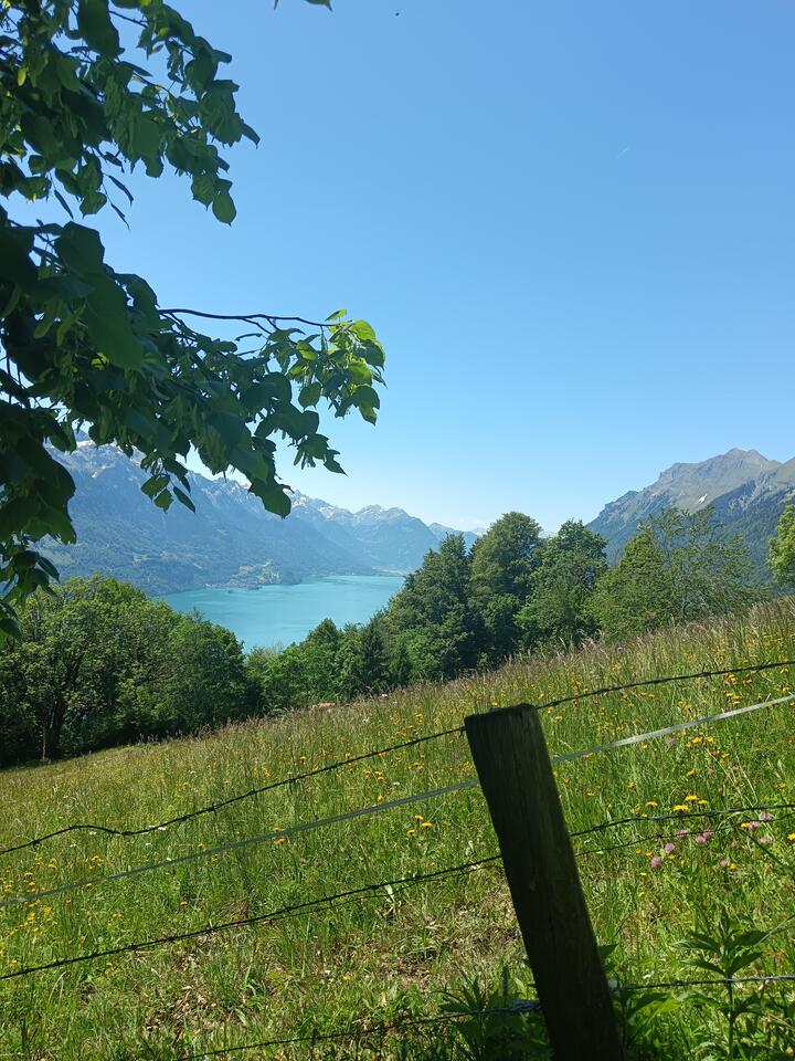 On the way up