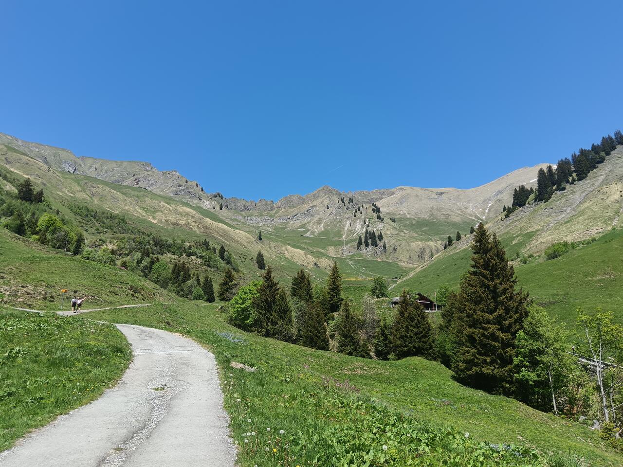 On the way up