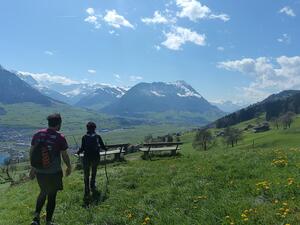 The view