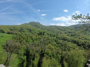 Liestal-Dornach08_small