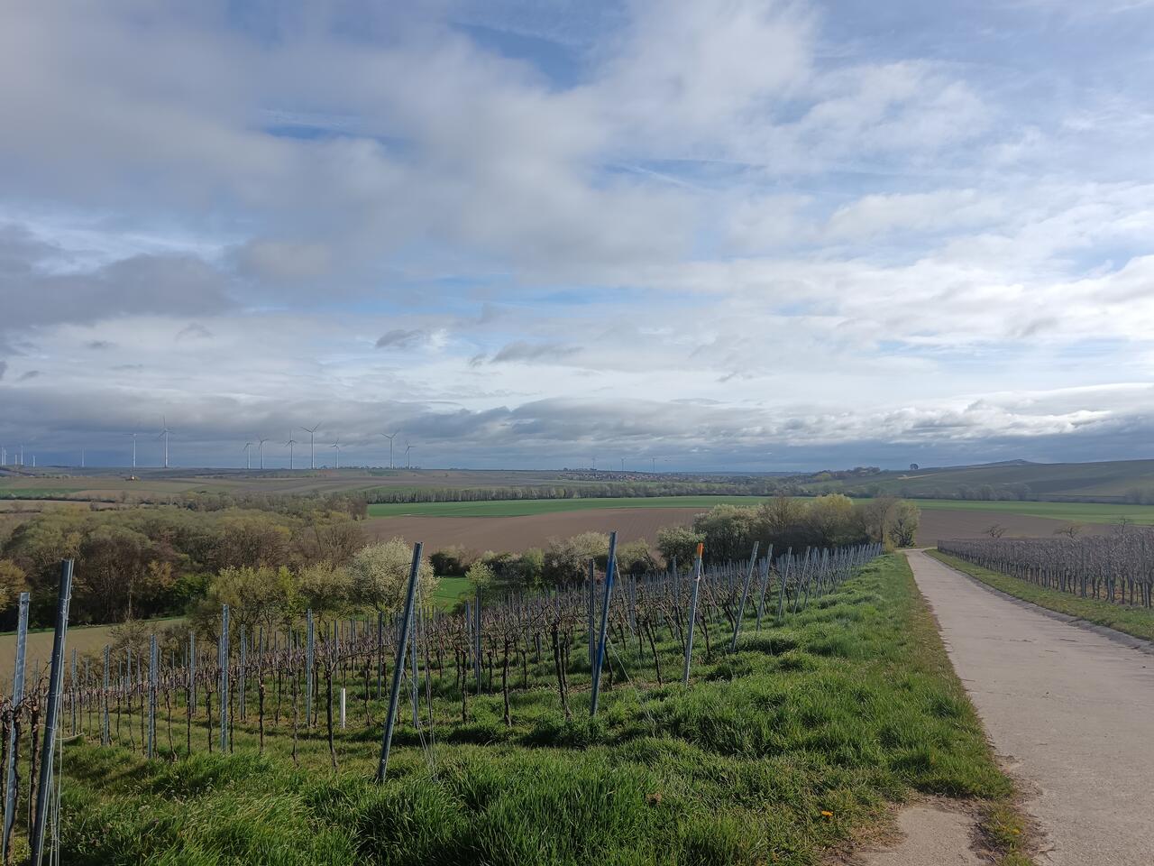 Countryside, Albig