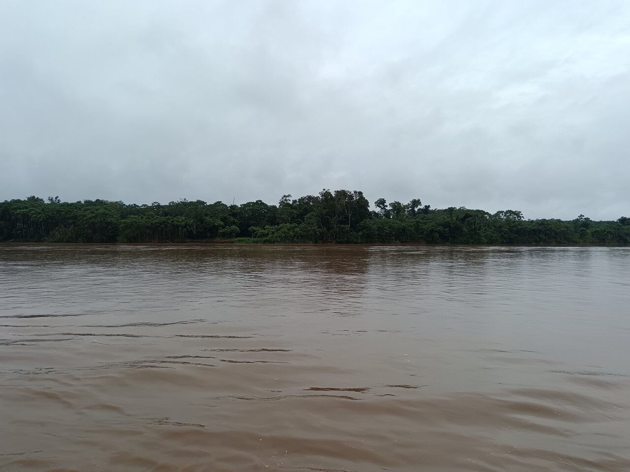 amazonas
