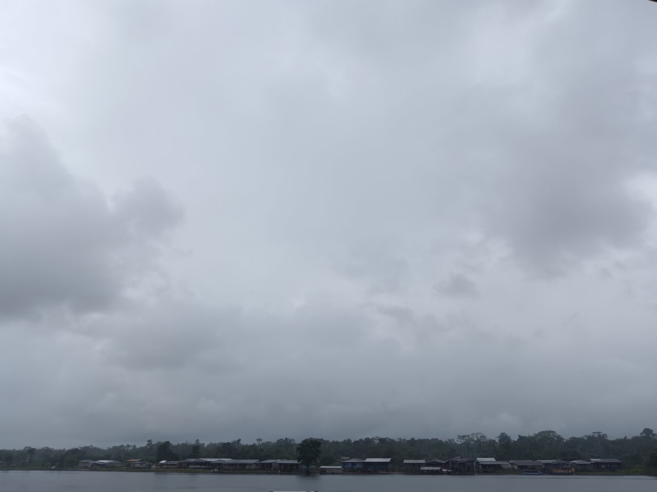 amazonas