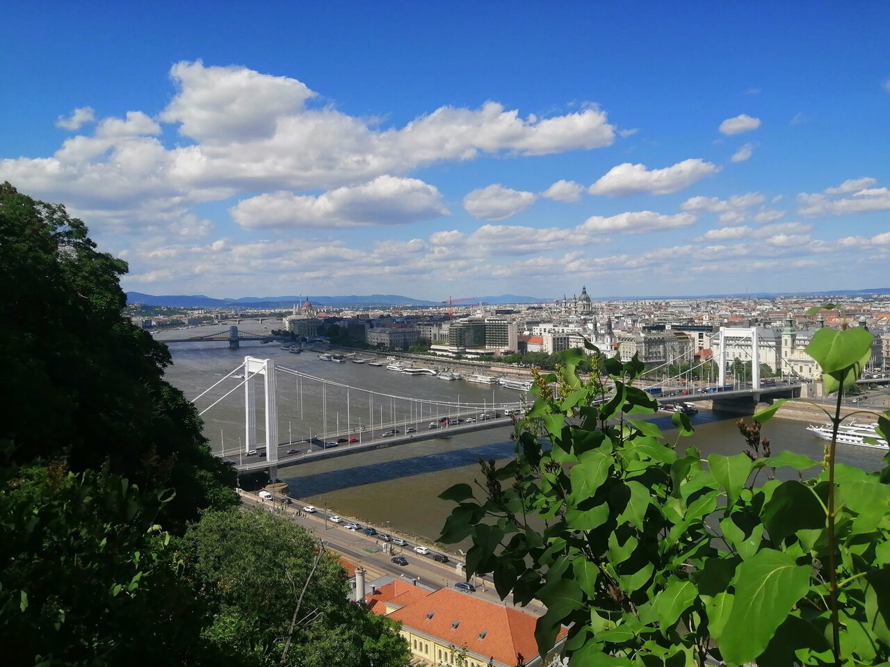 Elisabeth Bridge