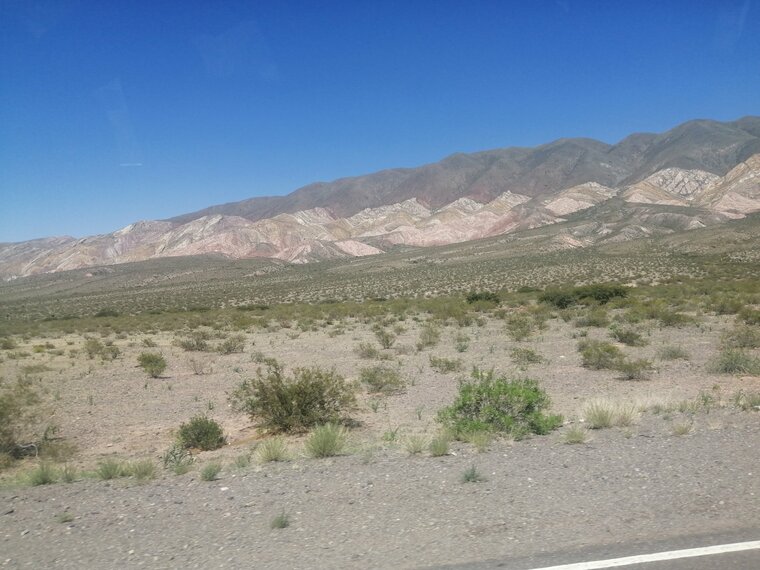 View from the Bus