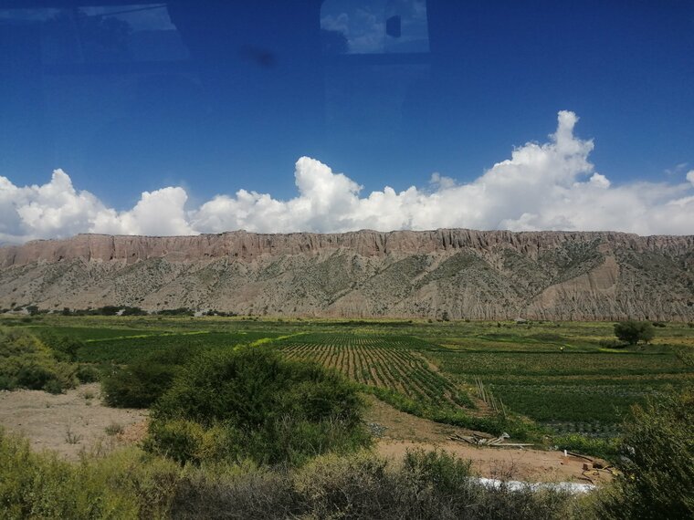 View from the Bus