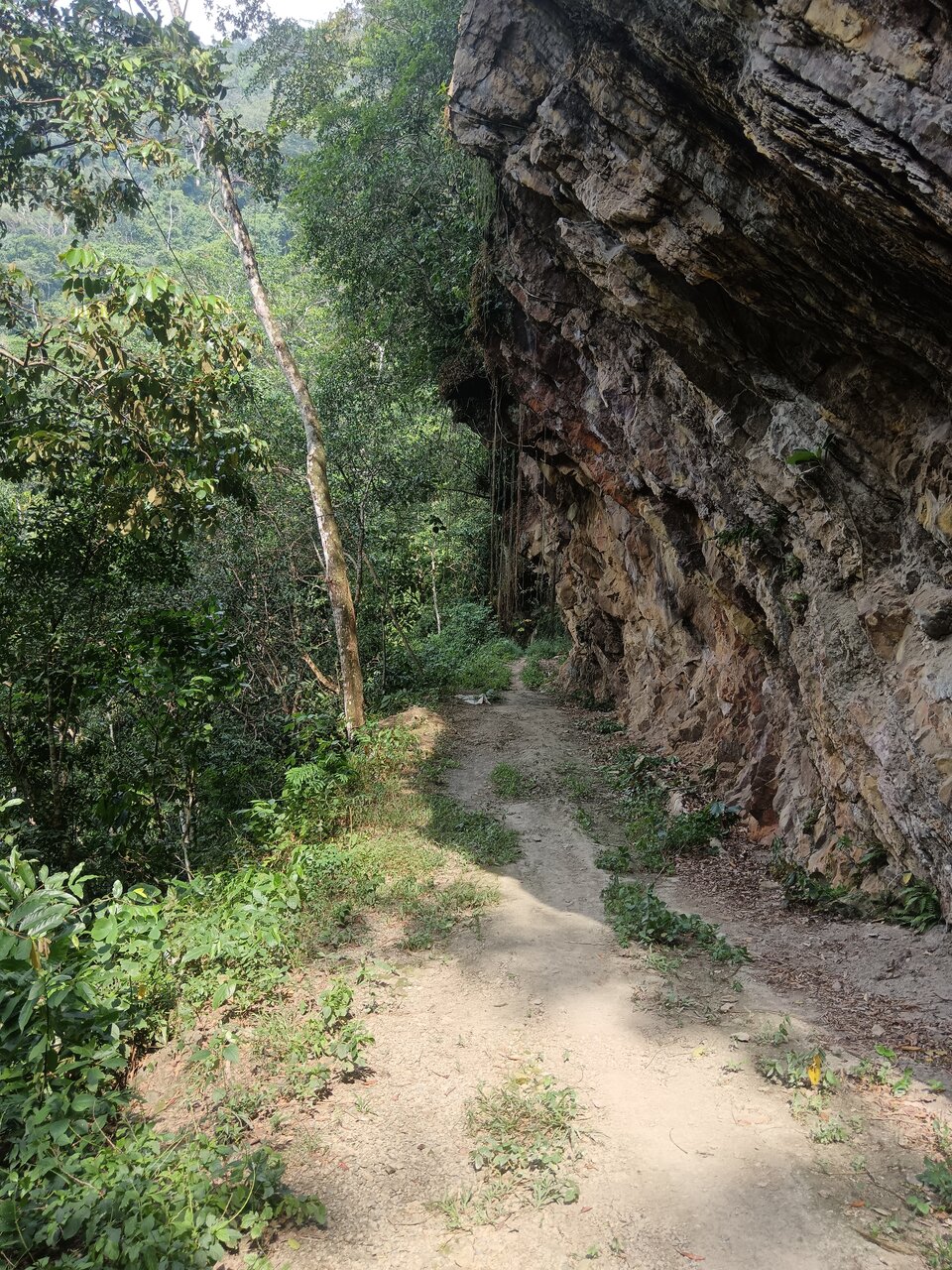 cachiyacu