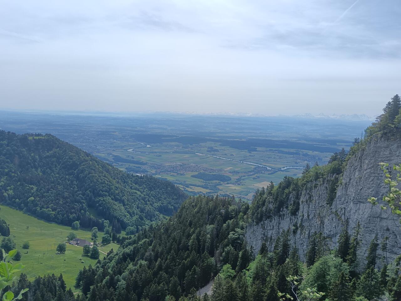 The view