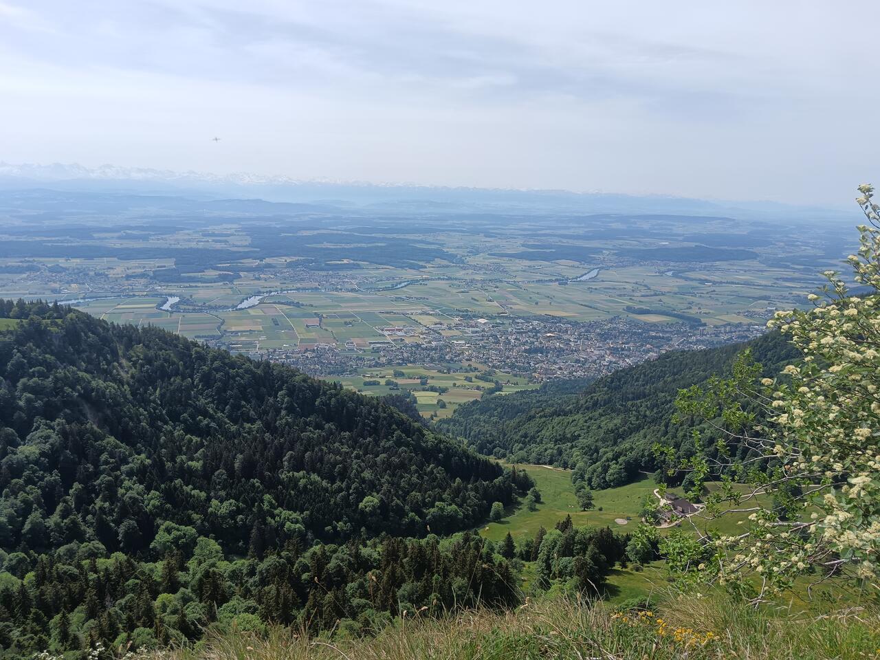 The view