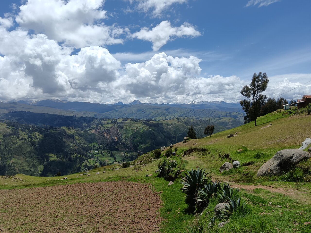 lagunawilcacocha