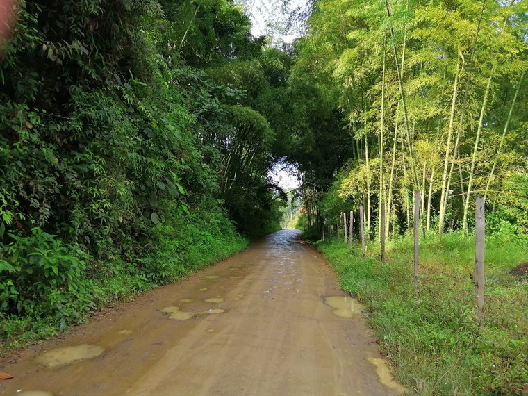My running path, Jardín