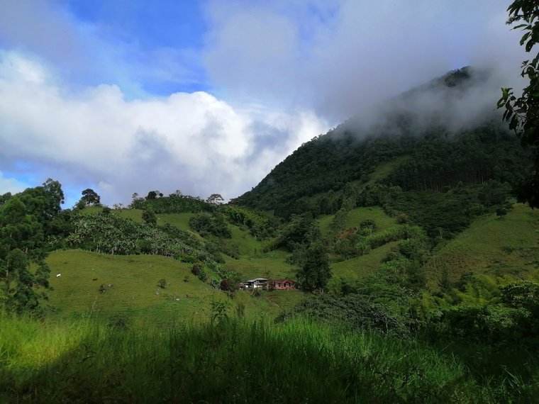 Mountains, Jardín