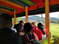 Bus to Pereira