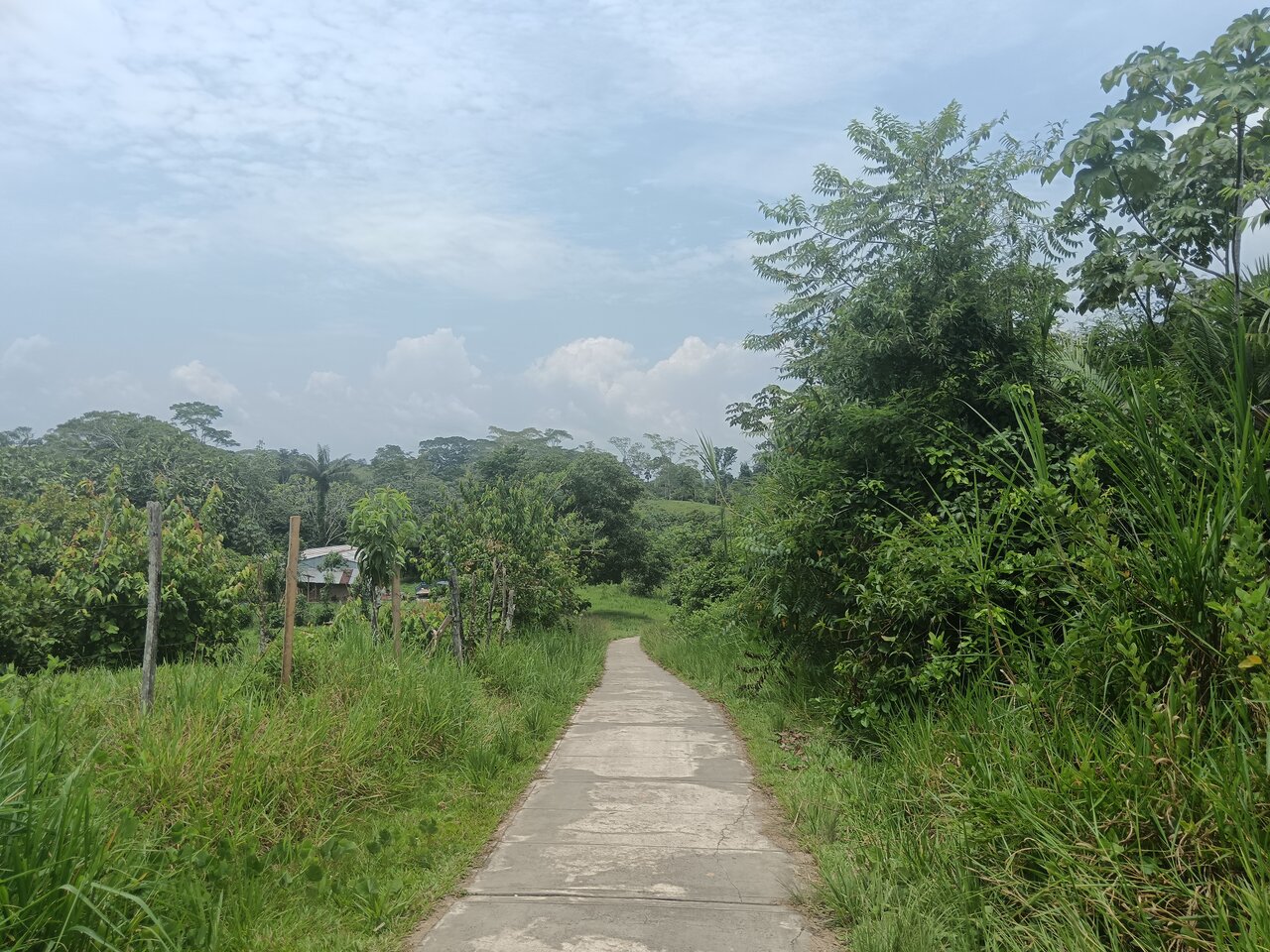 loboyacu
