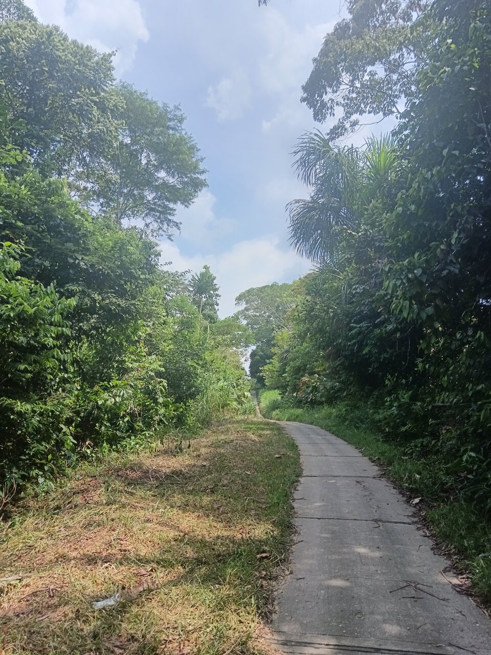 loboyacu
