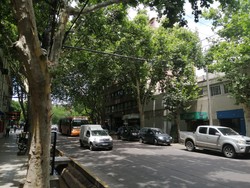 Mendoza