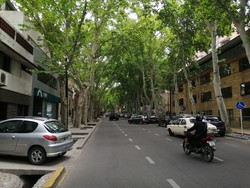 Mendoza