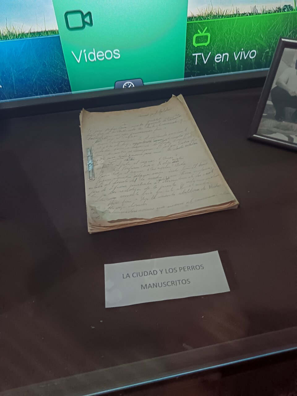 Manuscript