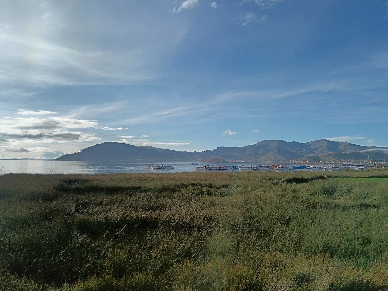 puno