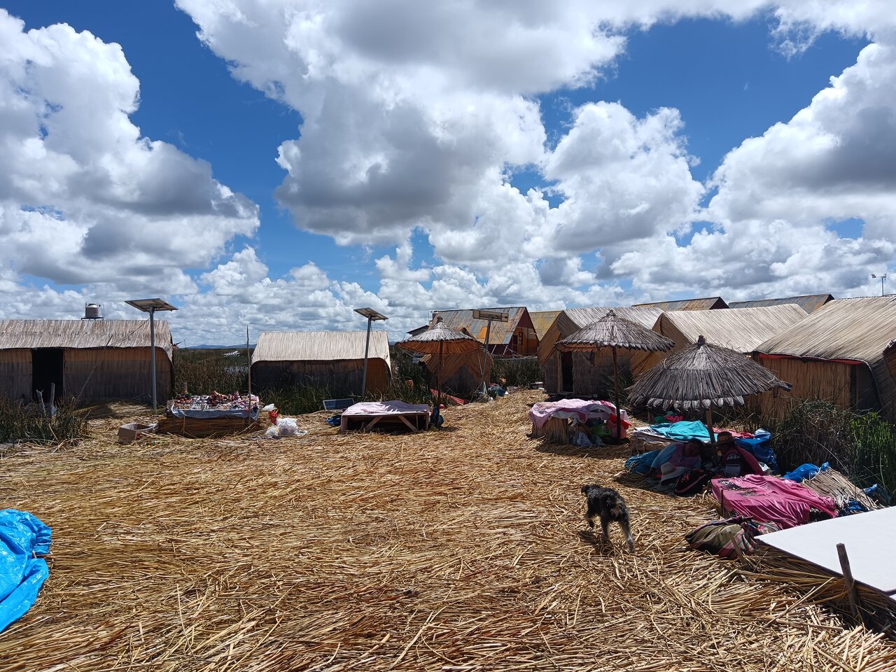 puno
