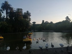 Rosario