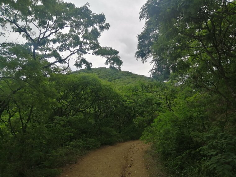 Salta