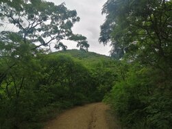 Salta, Salta