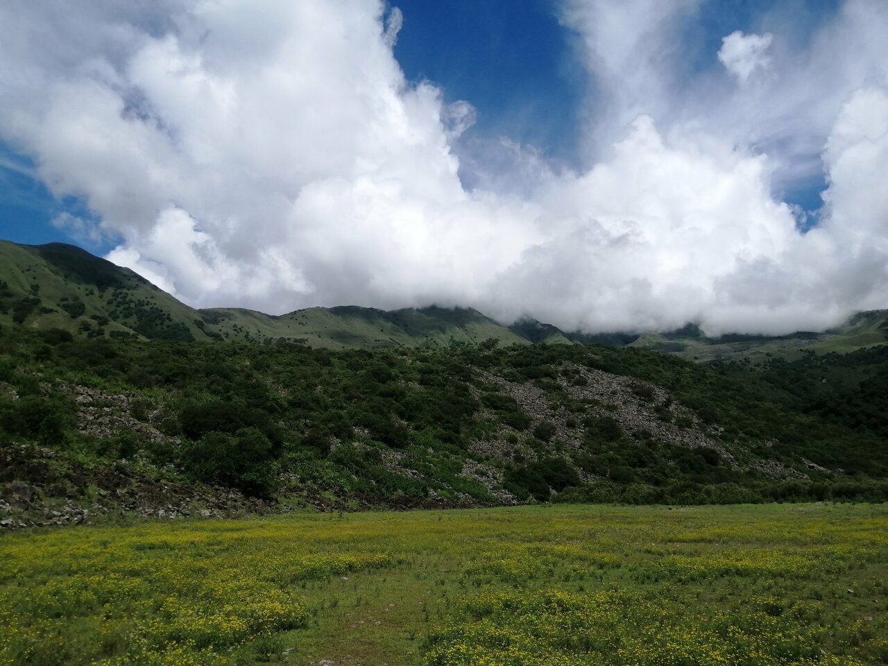 Yala valley