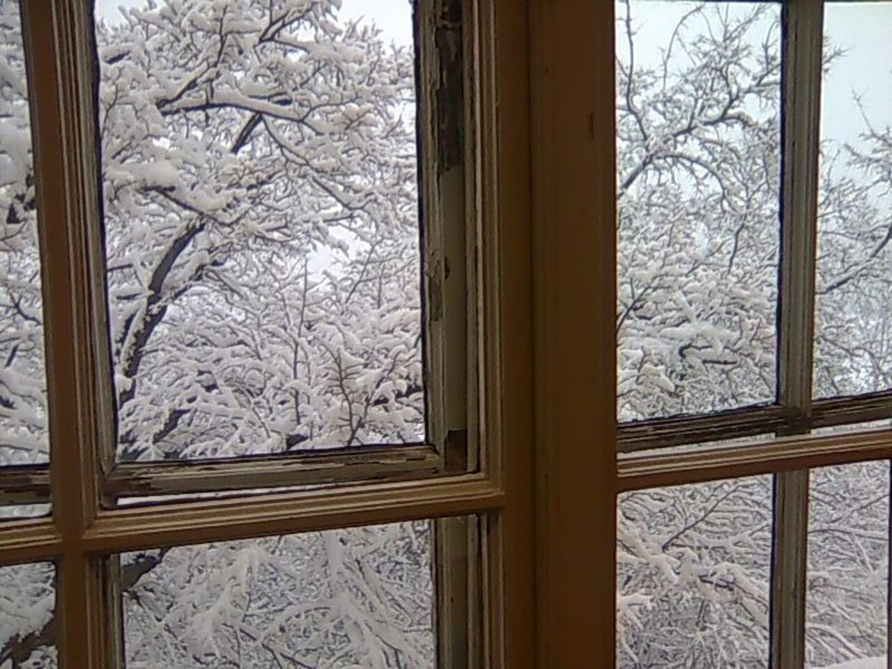 View from the window of my School