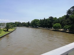 Tigre
