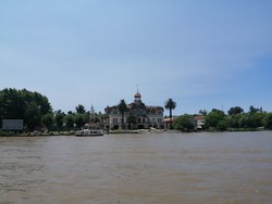 tigre