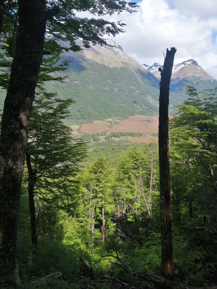 Ushuaia, Tierra del Fuego, Argentina
