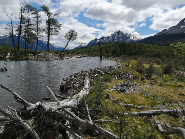 Ushuaia, Tierra del Fuego, Argentina