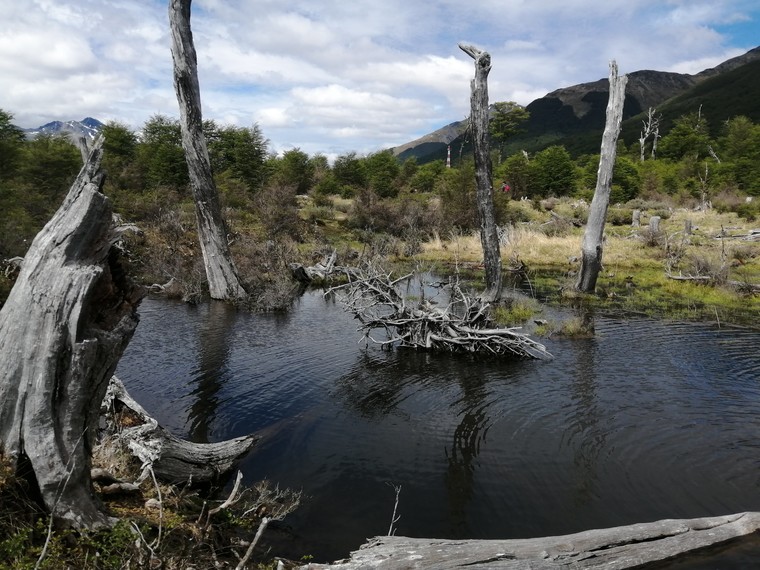 Ushuaia, Tierra del Fuego, Argentina