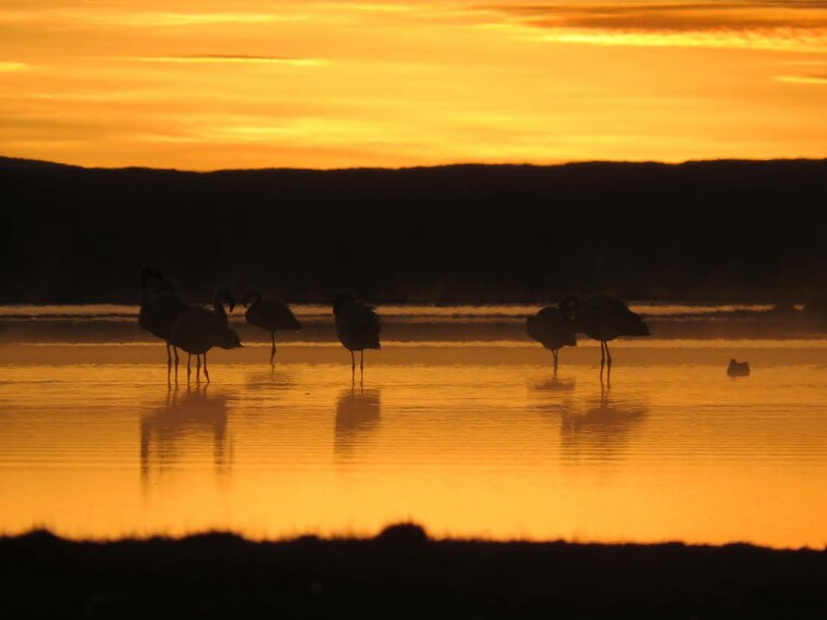 Salar de Uyuni, Bolivia