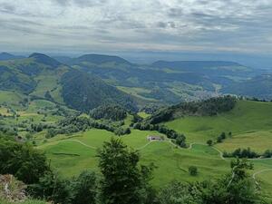 Vogelberg